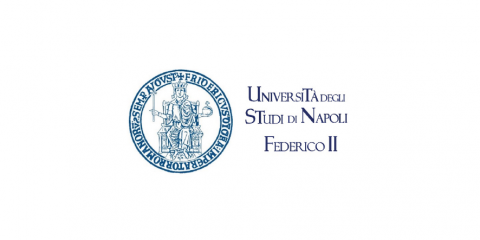 University Naples logo